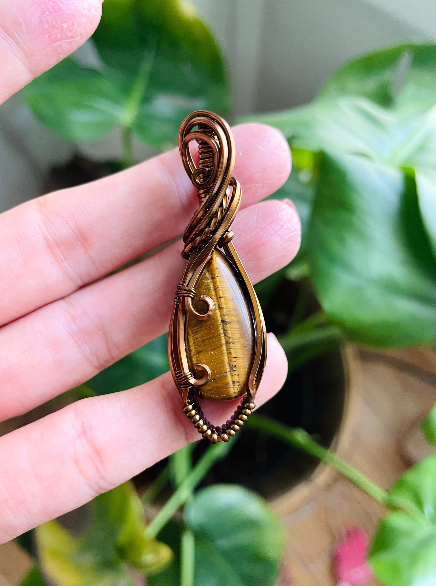 𝐶𝑎𝑡𝑜 • Tiger's Eye