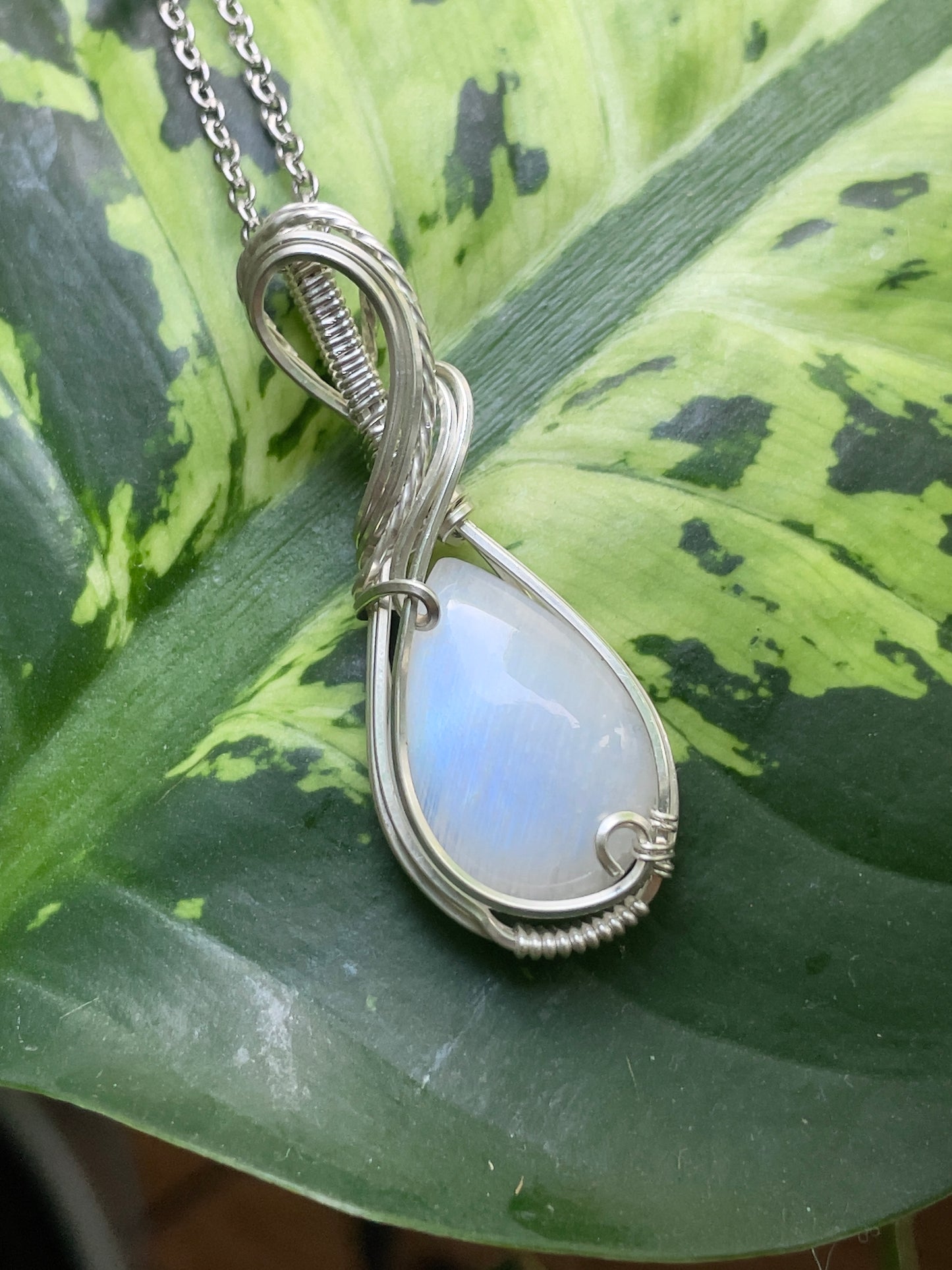 𝐿𝑢𝑐𝑖𝑛𝑒 • Rainbow Moonstone