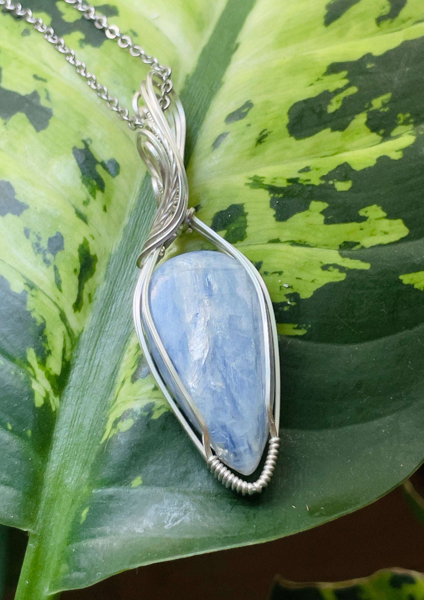 𝐶𝑒𝑙𝑒𝑠𝑡𝑖𝑎 • Blue Kyanite